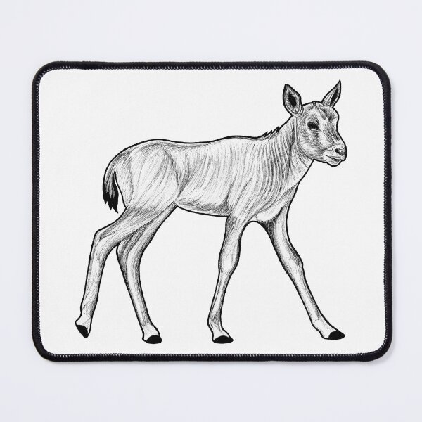 Item preview, Baby Arabian oryx - ink illustration designed and sold by LorenDowding.