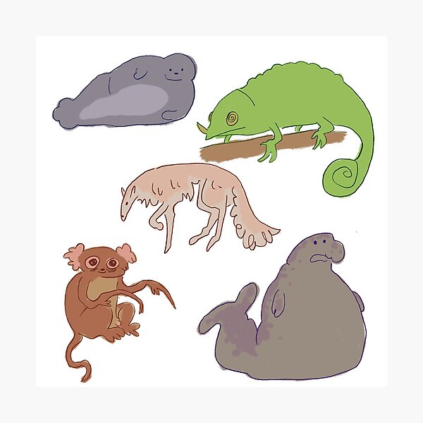 Item preview, Cute Animal Sticker Sheet designed and sold by skipskilling.