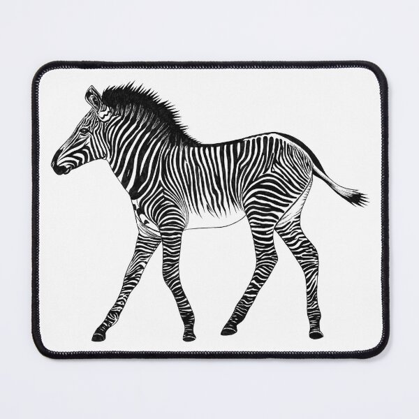 Item preview, Zebra foal - ink illustration designed and sold by LorenDowding.