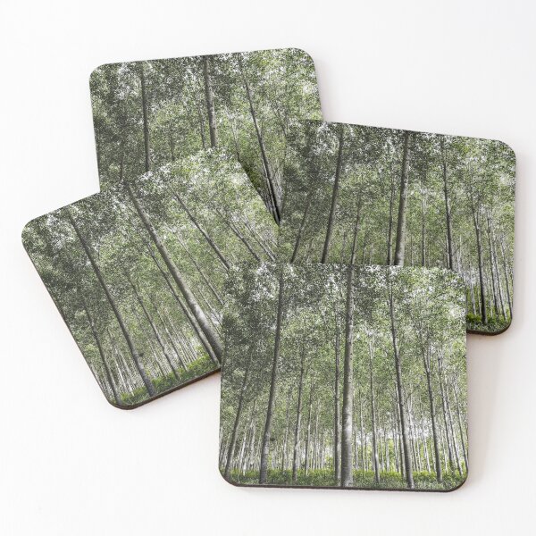 Item preview, Forest Lines designed and sold by Paul Finnegan.