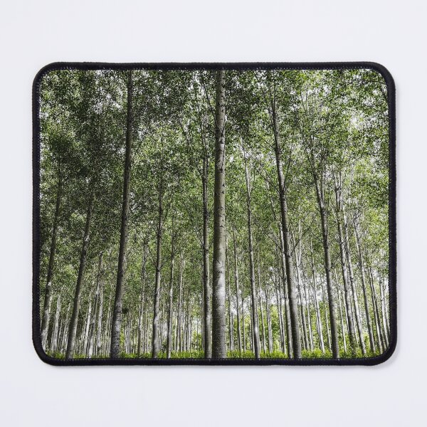 Item preview, Forest Lines designed and sold by Paul Finnegan.