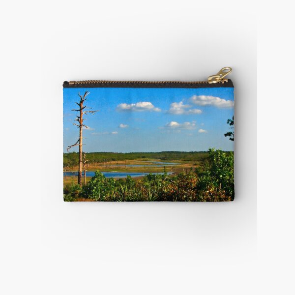 Item preview, Lake View,  Dune #1. Catfish Creek, Lake Wales Ridge. designed and sold by christopher kusik.