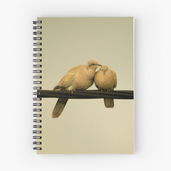 Item preview, Doves - Two Dove Birds - Bird Love - Tree Branch - Animal Photography  designed and sold by TessAndre.
