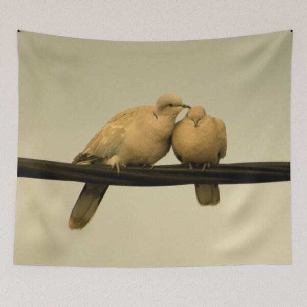 Item preview, Doves - Two Dove Birds - Bird Love - Tree Branch - Animal Photography  designed and sold by TessAndre.