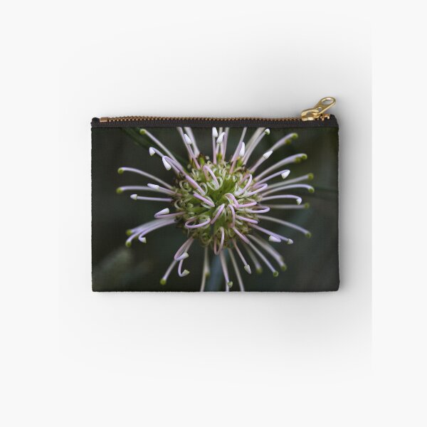 Item preview, Grevillea commutata  designed and sold by andrachne.