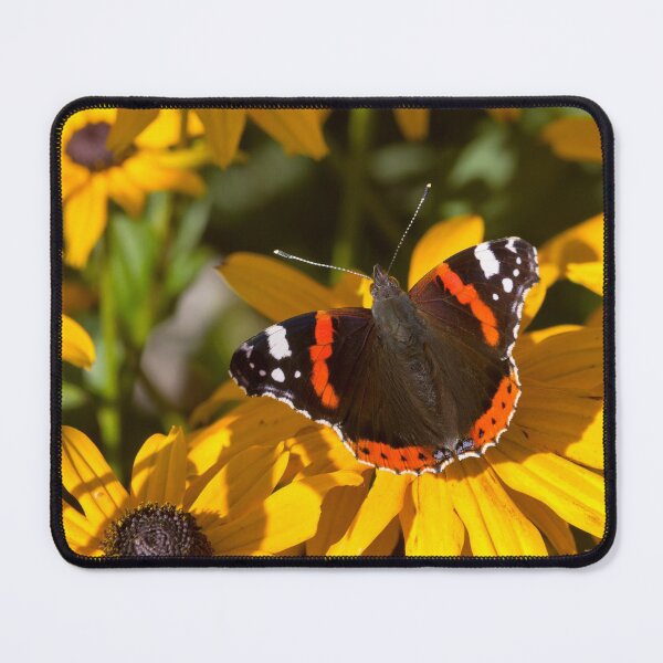 Item preview, Red Admiral; Yellow Flower designed and sold by Violaman.