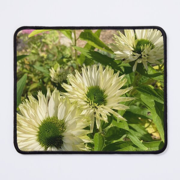 Item preview, Garden walk around the White Echinacea designed and sold by OByD.