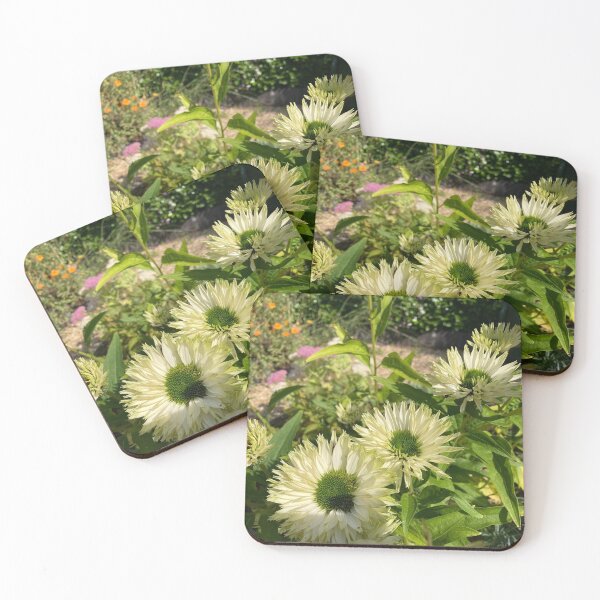 Item preview, Garden walk around the White Echinacea designed and sold by OByD.