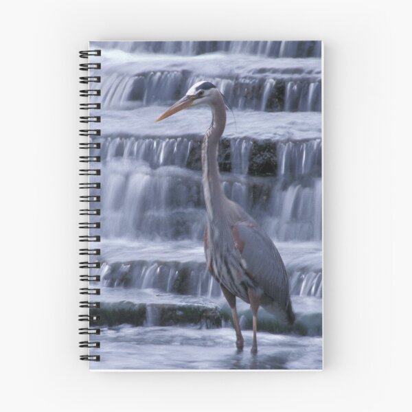 Item preview, Great Blue Heron designed and sold by Bill Spengler's Photographic Thoughts.