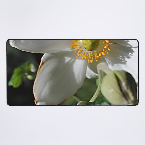 Item preview, White Flower With Buds designed and sold by bloomingvine.
