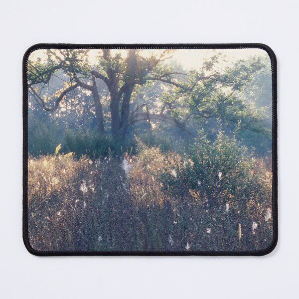 Item preview, Morning Tree designed and sold by Bill Spengler's Photographic Thoughts.