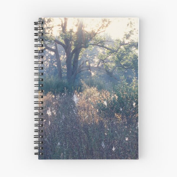 Item preview, Morning Tree designed and sold by Bill Spengler's Photographic Thoughts.