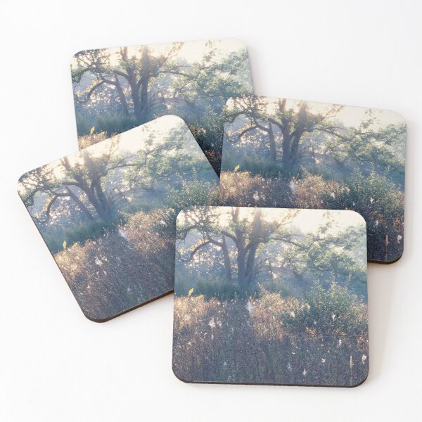 Item preview, Morning Tree designed and sold by Bill Spengler's Photographic Thoughts.