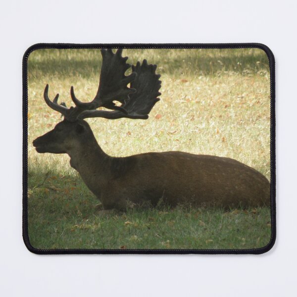 Item preview, Fallow Deer Stag Silhouette Photograph designed and sold by naturegallery.