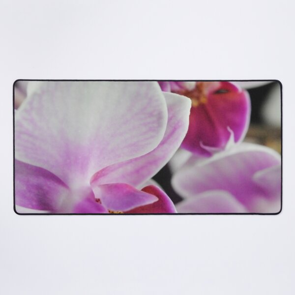 Item preview, Pink and White Orchids designed and sold by bloomingvine.