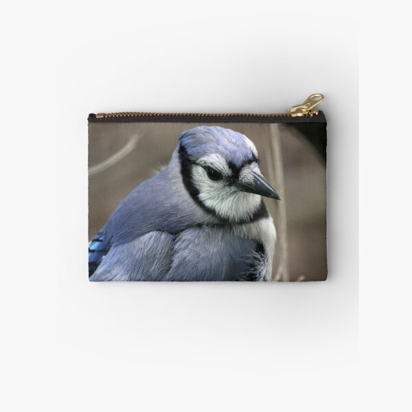 Artikelvorschau, Blue Jay entworfen und verkauft von LaurieSalzler.