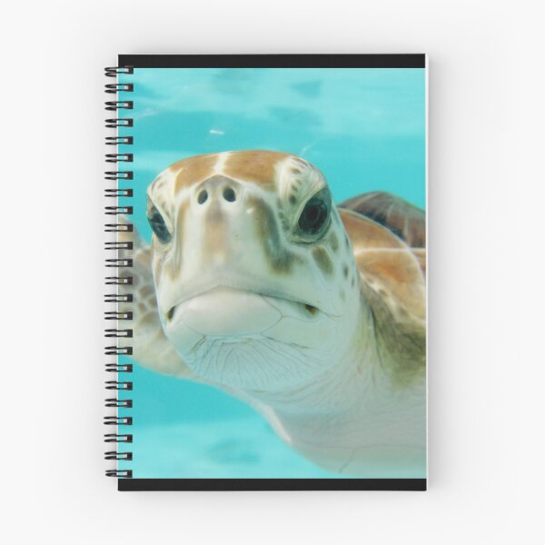 Item preview, Blue ocean sea turtle - summer sea swimming turtle designed and sold by amedo14.