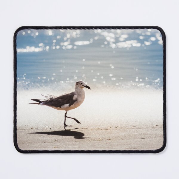 Aperçu de l'œuvre Mouette sur Virginia Beach créée et vendue par Leslie Banks.