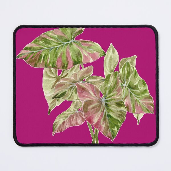 Item preview, Syngonium plant fuchsia designed and sold by PetitMartin.
