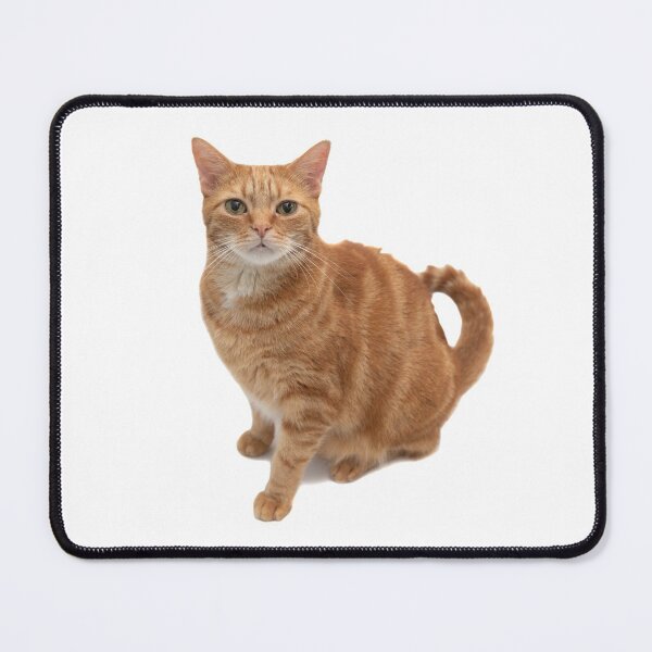 Item preview, Orange Tabby Cat designed and sold by Leslie Banks.