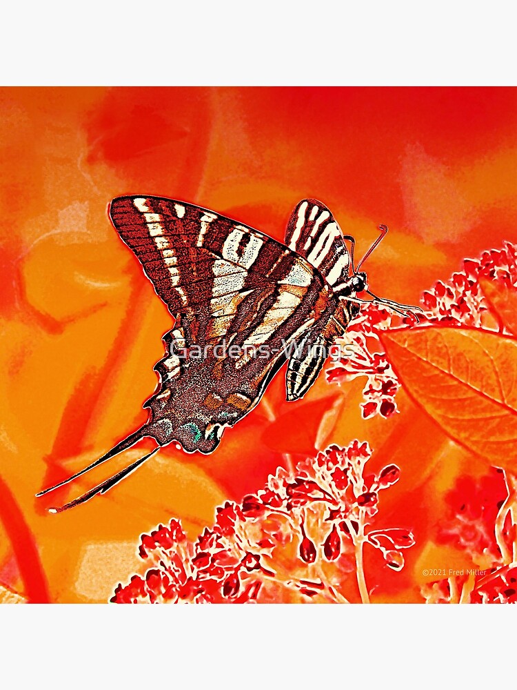 Orange Digital Zebra Swallowtail by Gardens-Wings