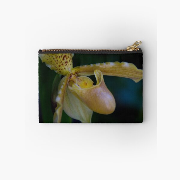 Item preview, slipper orchid designed and sold by picketty.