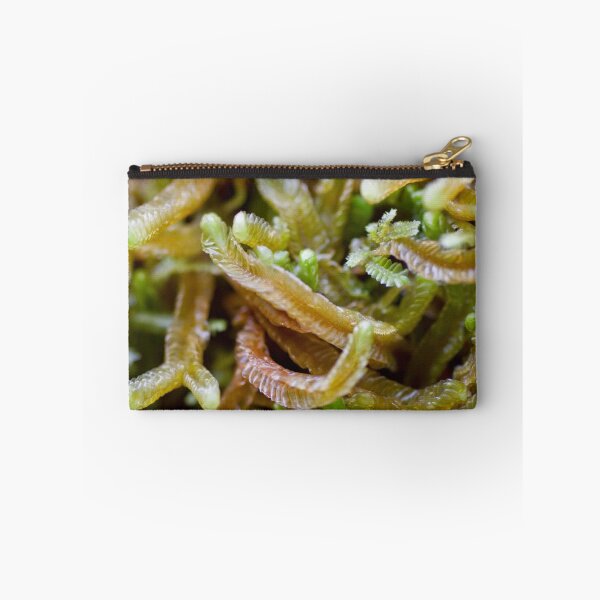 Item preview, Millileaves- West Coast Tasmania designed and sold by Ben Rae.