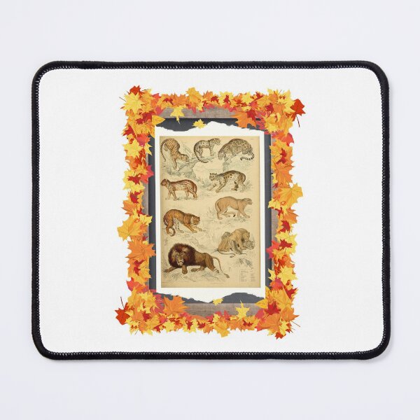 Item preview, Zoological board "Felines". designed and sold by AdvanceDesign.