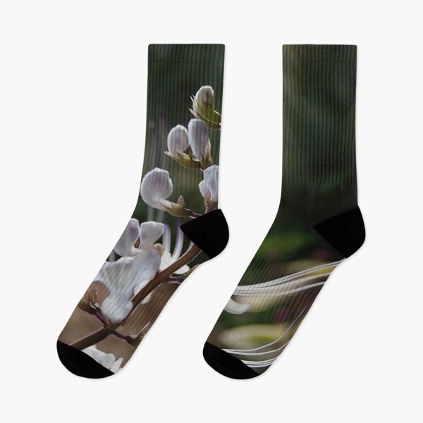 Item preview, White Flower in the Sunshine designed and sold by Allen Penton.