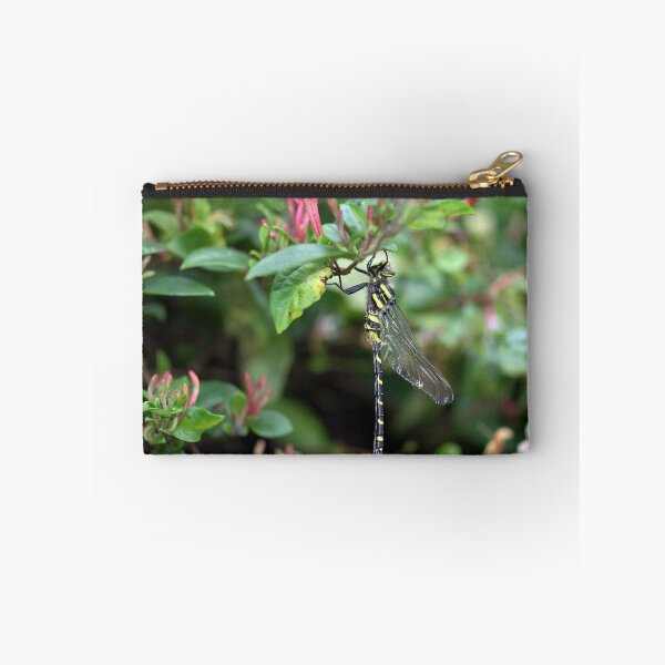 Item preview, Golden Ringed Dragonfly Drying out designed and sold by Autolocus.