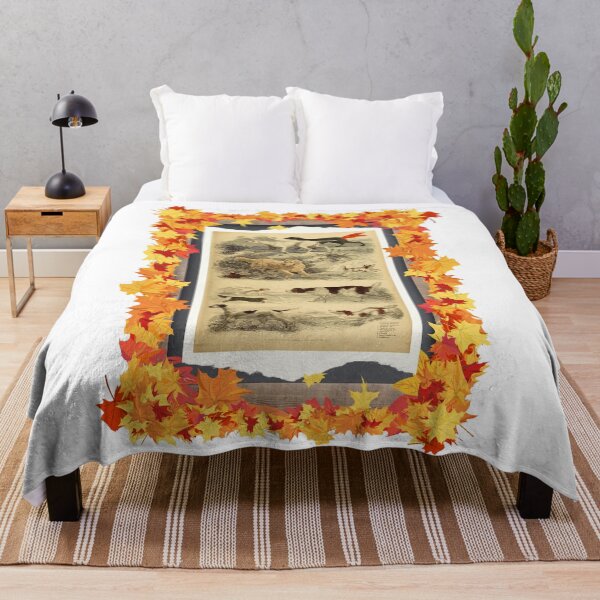 Item preview, Zoological board "Dogs". designed and sold by AdvanceDesign.