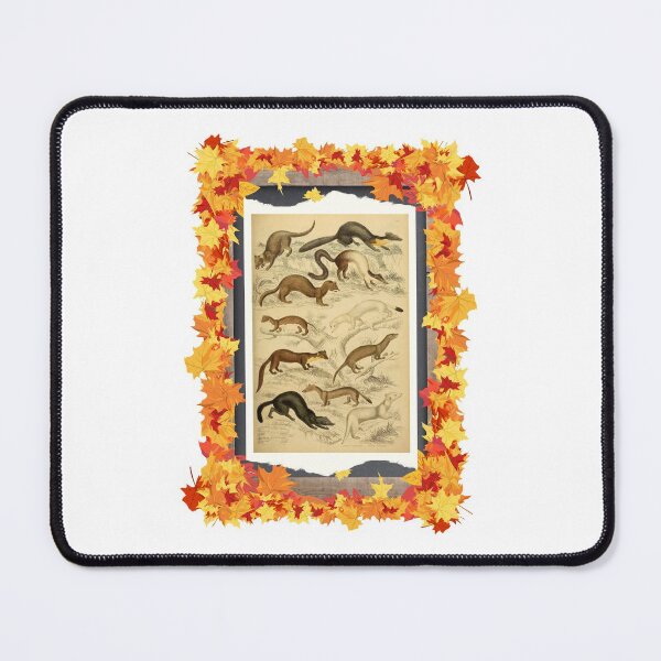 Item preview, Zoological board "Weasels". designed and sold by AdvanceDesign.