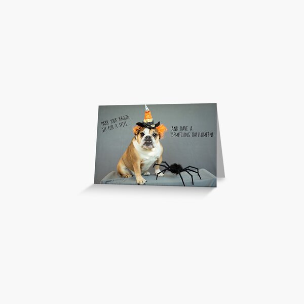 Bewitching Halloween Greeting Card