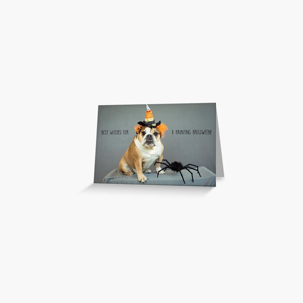 "Best Witches for A Haunting Halloween" Greeting Card Greeting Card