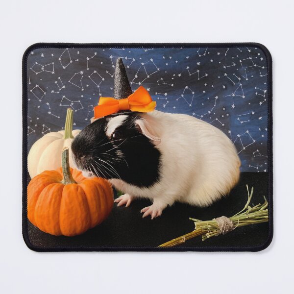 Item preview, Little Guinea Pig Witch designed and sold by rodentgorl.