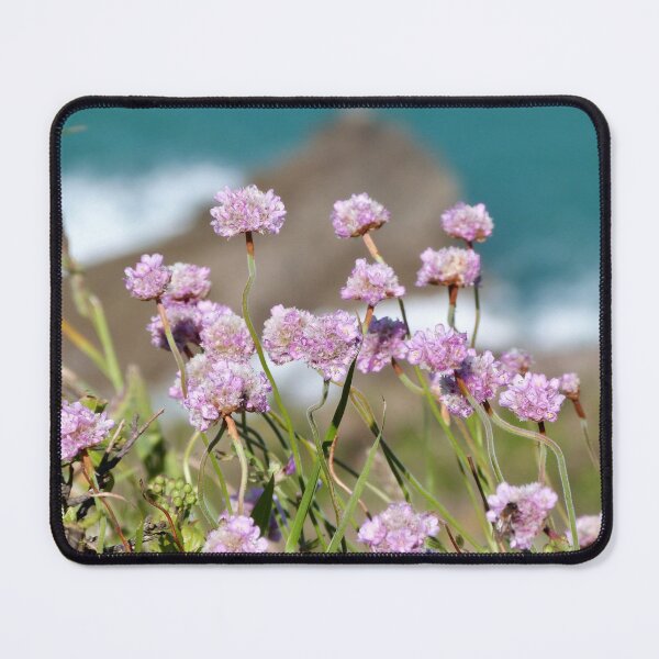 Artikelvorschau,  Einige der möglicherweise wilden Blumen wachsen auf den Klippen in Guernsey entworfen und verkauft von AgnesPerry2020.