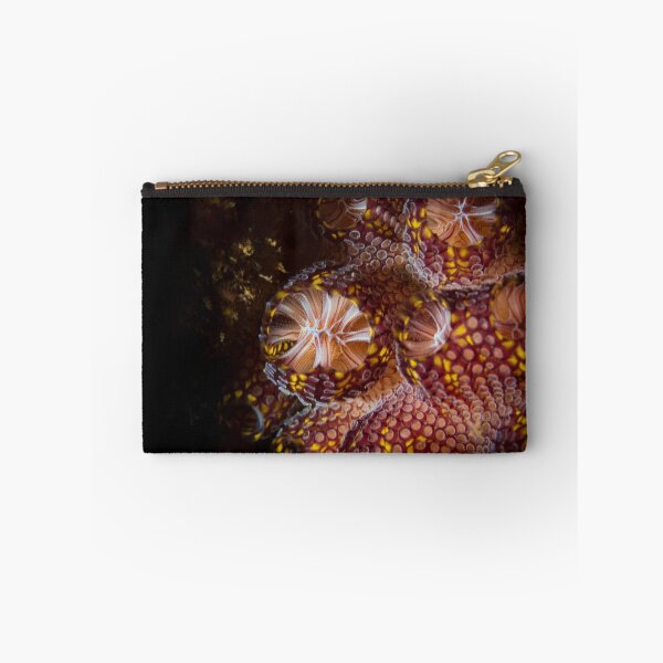 Item preview, Magnificent Ascidian Sea Squirt, Bass Point designed and sold by Kerrod Sulter.