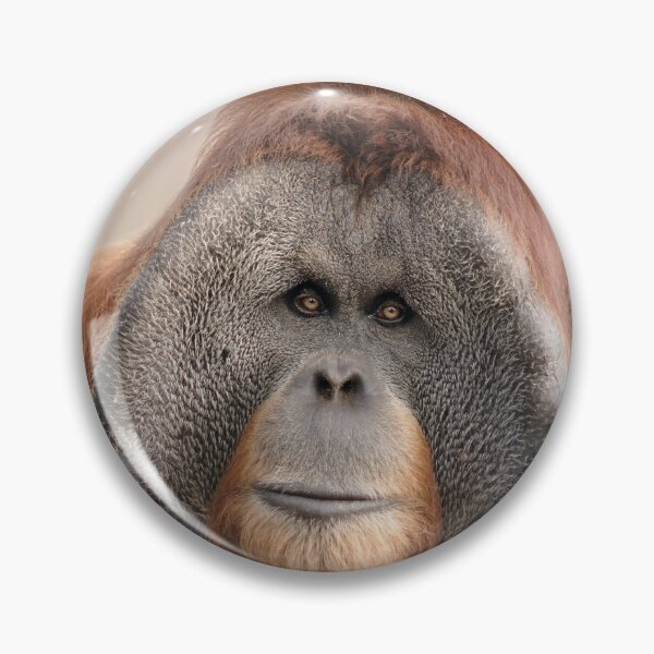 Item preview, Endangered Sumatran Orangutan designed and sold by TheCurators.