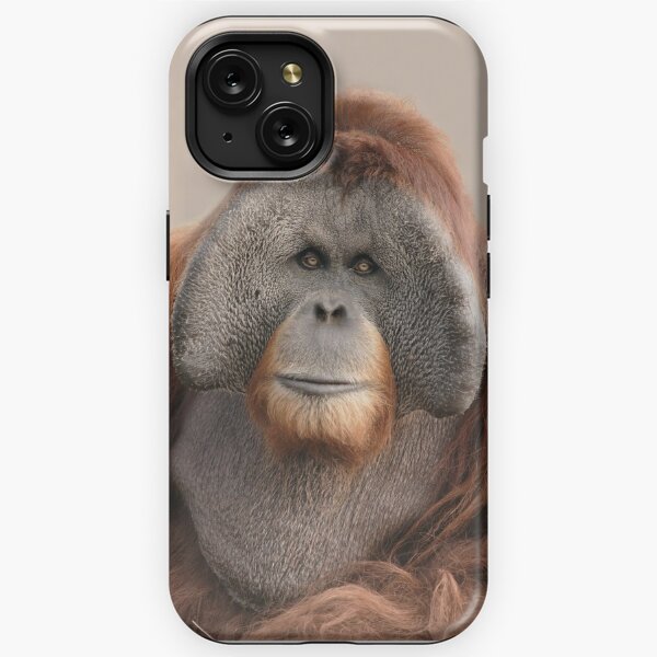 Orangutan iPhone Cases for Sale