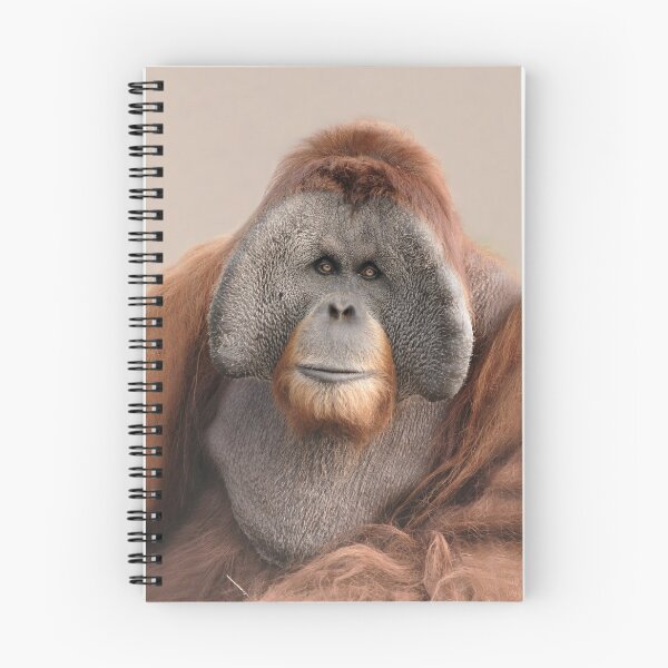 Item preview, Endangered Sumatran Orangutan designed and sold by TheCurators.