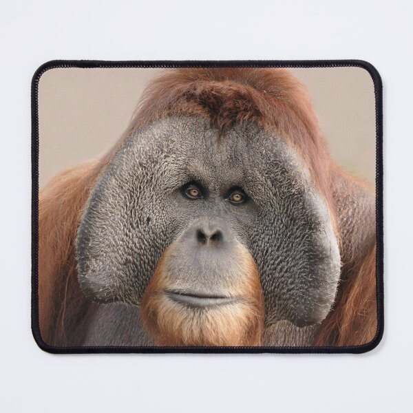 Item preview, Endangered Sumatran Orangutan designed and sold by TheCurators.