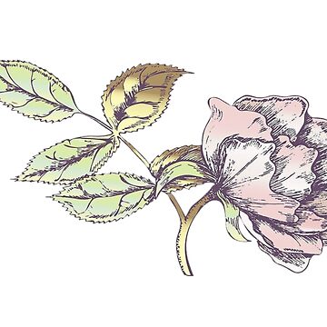 Artwork thumbnail, Bored Rose by DenkaStore