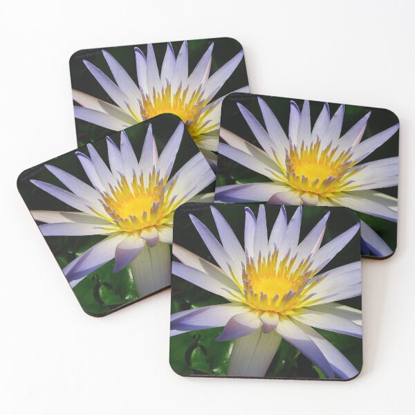 Item preview, Water Lilly, Purple, White and Yellow designed and sold by Jeffrey Mask.
