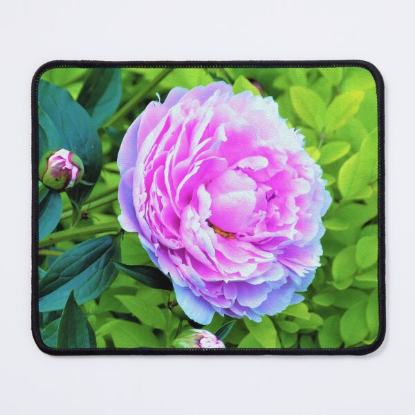 Item preview, Pink Peony and Golden Privet Hedge Garden designed and sold by myrubiogarden.