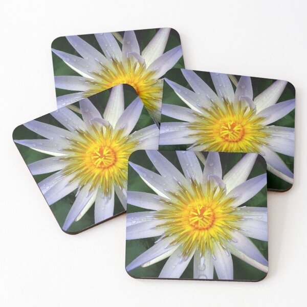 Item preview,  Water Lillies & Lotuses #02 designed and sold by Jeffrey Mask.