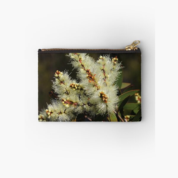 Item preview, Melaleuca quinquenervia designed and sold by andrachne.