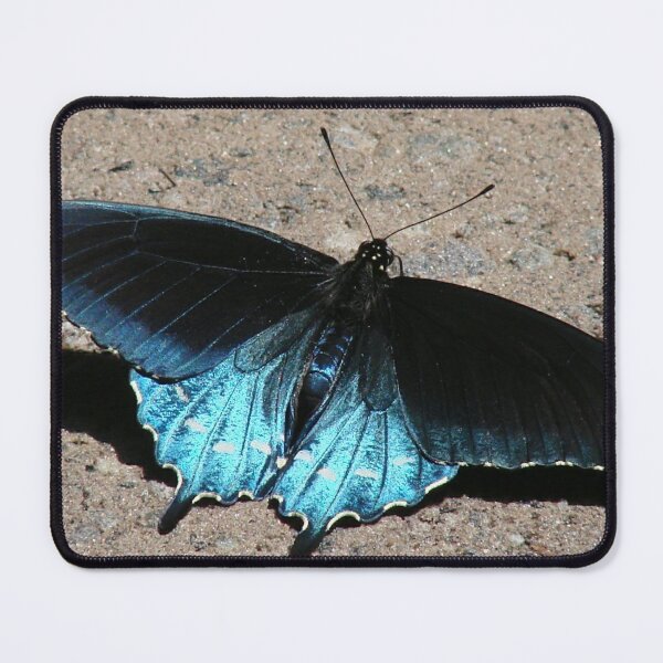 Item preview, Iridescent Blue designed and sold by Jean Gregory Evans.