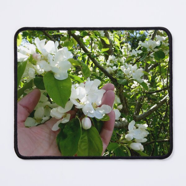 Item preview, Fragrant Apple Blossom designed and sold by Vaengi.