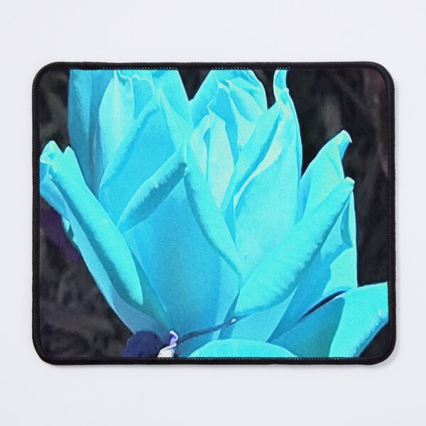 Item preview, Cool Ice Blue Double Knockout Rose designed and sold by myrubiogarden.