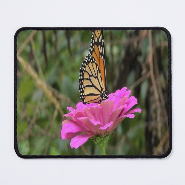 Item preview, Monarch Butterfly on a Pretty Pink Zinnia Flower designed and sold by myrubiogarden.
